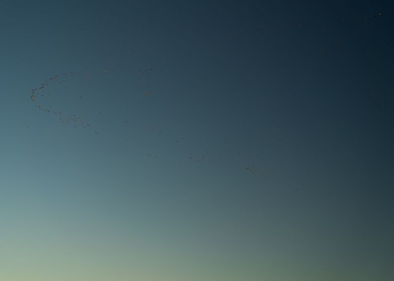 © Tova Katzman - Sun setting over Sometimes Island - 2024