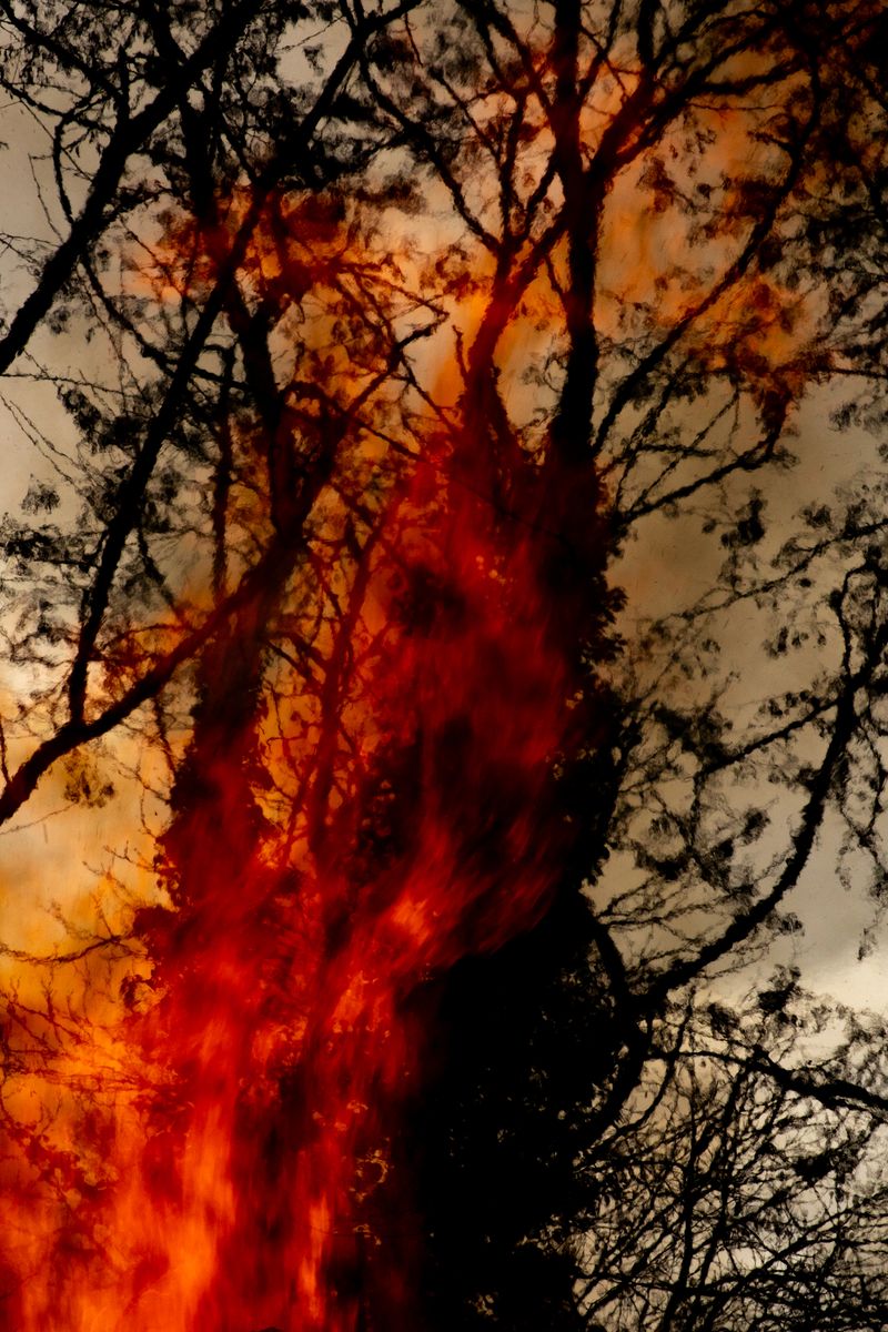 © Marike Hoex - Image from the Inside the whale photography project