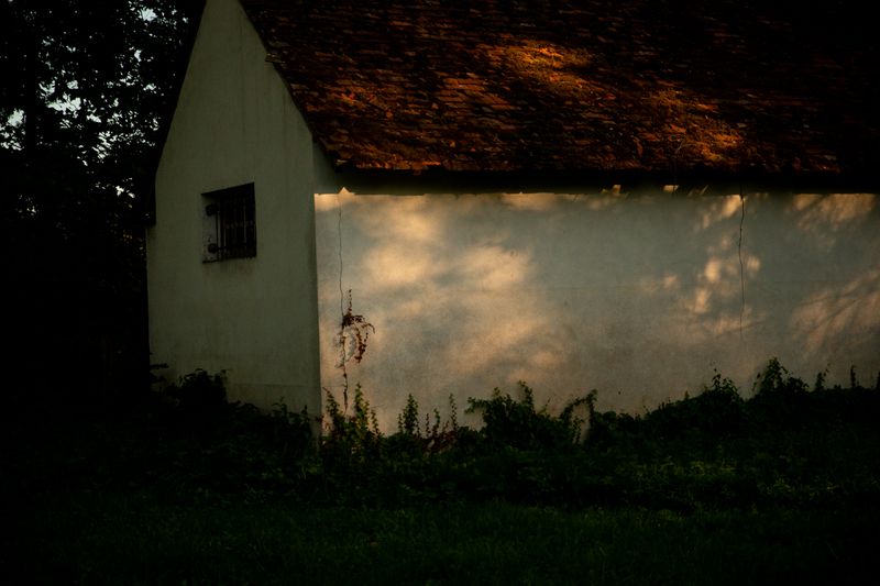 © Marike Hoex - Barn, 2024 Marike Hoex