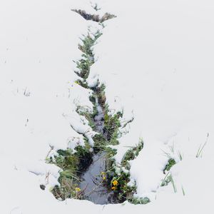 Entangled - footprints of Europe