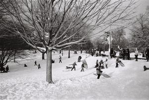 FEBRUARY 2017 IN BROOKLYN, a French point of view