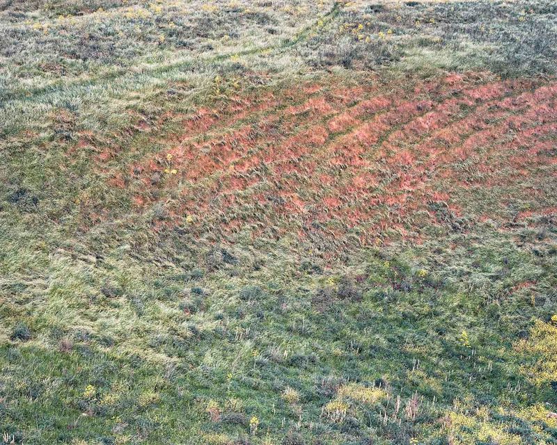 © Roei Greenberg - Winter, Tel Hatzor, 2014