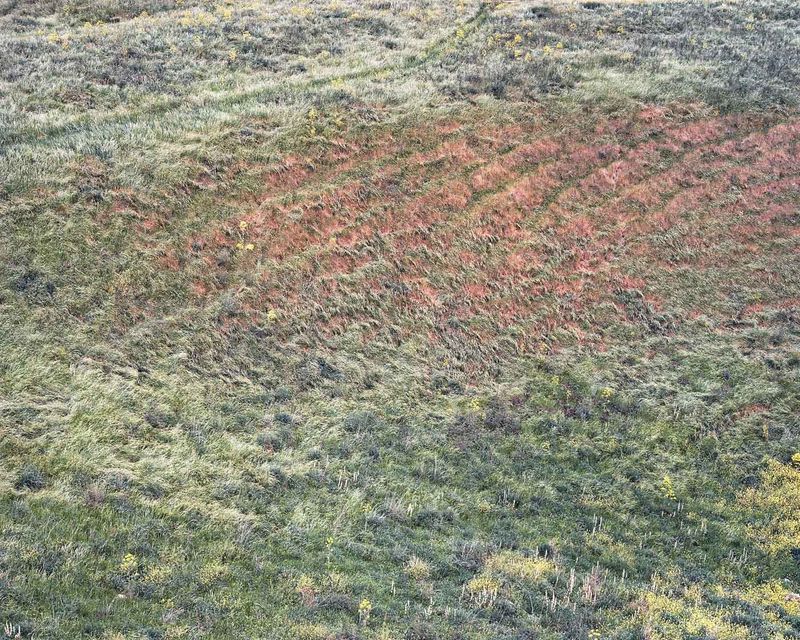 © Roei Greenberg - Winter, Tel Hatzor, 2014