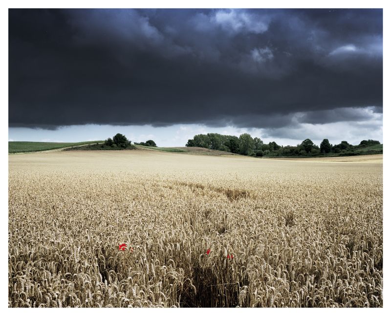 © Roei Greenberg - Wheat-field, Summer (Searching for The Hay Wain)