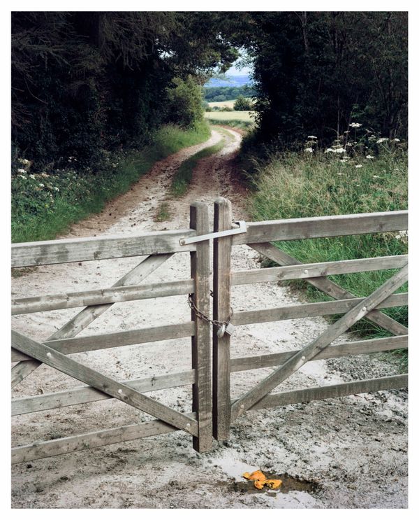 © Roei Greenberg - Walk To Paradise Garden (After W. Eugine Smith)