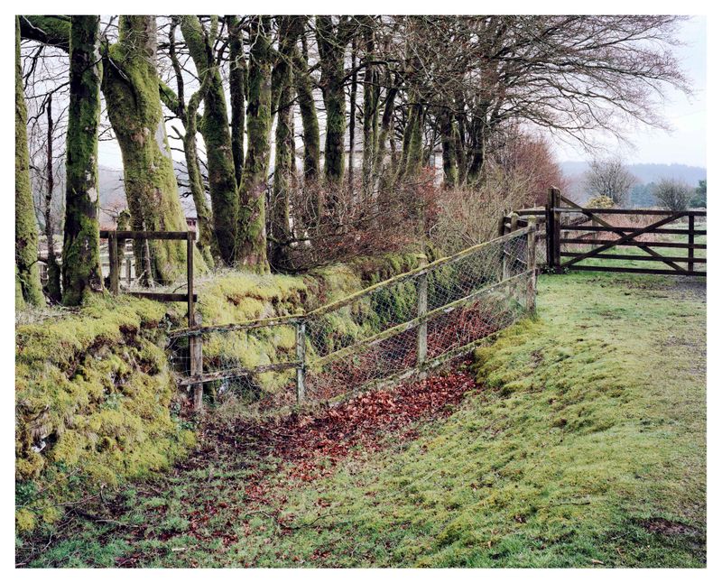 © Roei Greenberg - Winter Morning