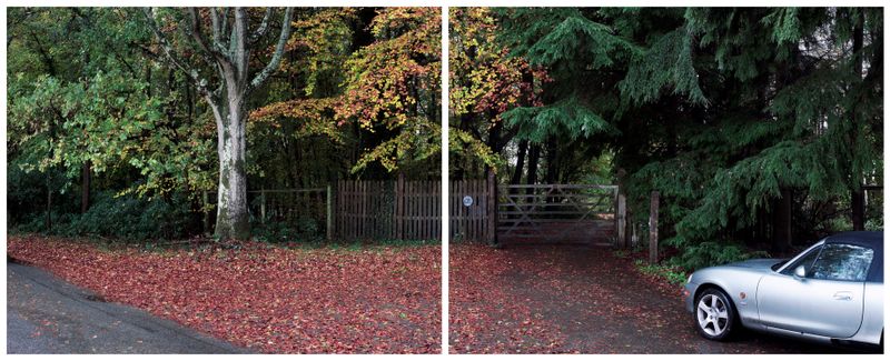 © Roei Greenberg - Conflicting Interests (Autumn Leaves)