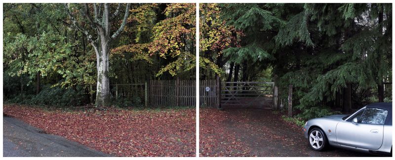 © Roei Greenberg - Conflicting Interests (Autumn Leaves)