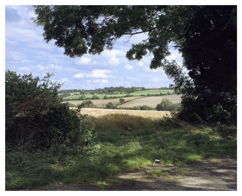 © Roei Greenberg - Hinterland