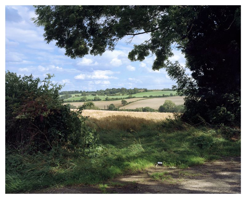 © Roei Greenberg - Hinterland