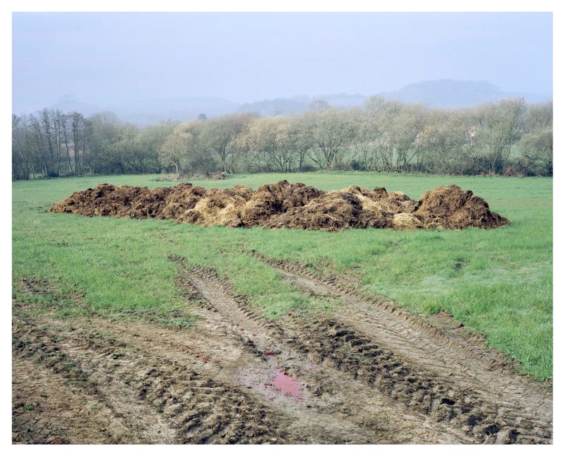 © Roei Greenberg - "Dreaming of Misty England"