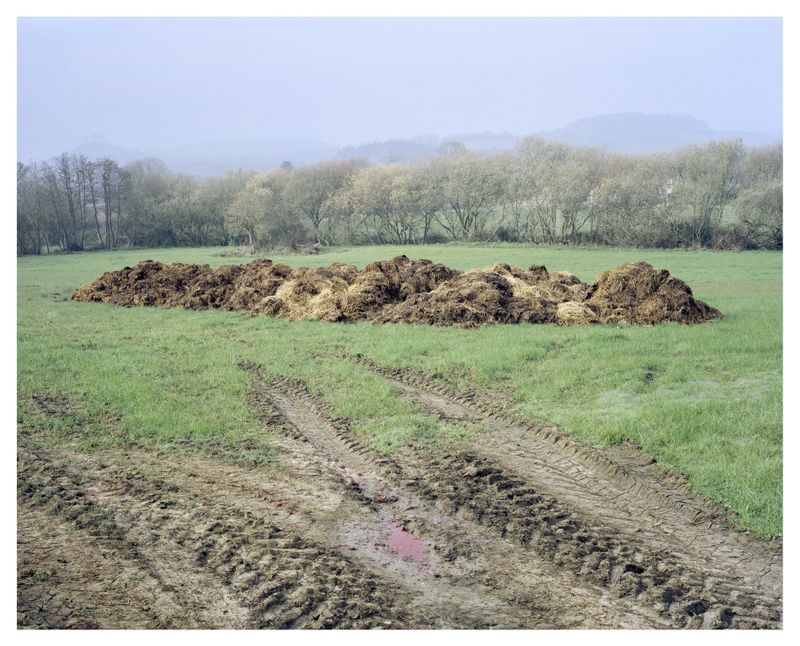 © Roei Greenberg - "Dreaming of Misty England"