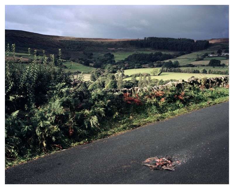 © Roei Greenberg - Spectre of innocent Death