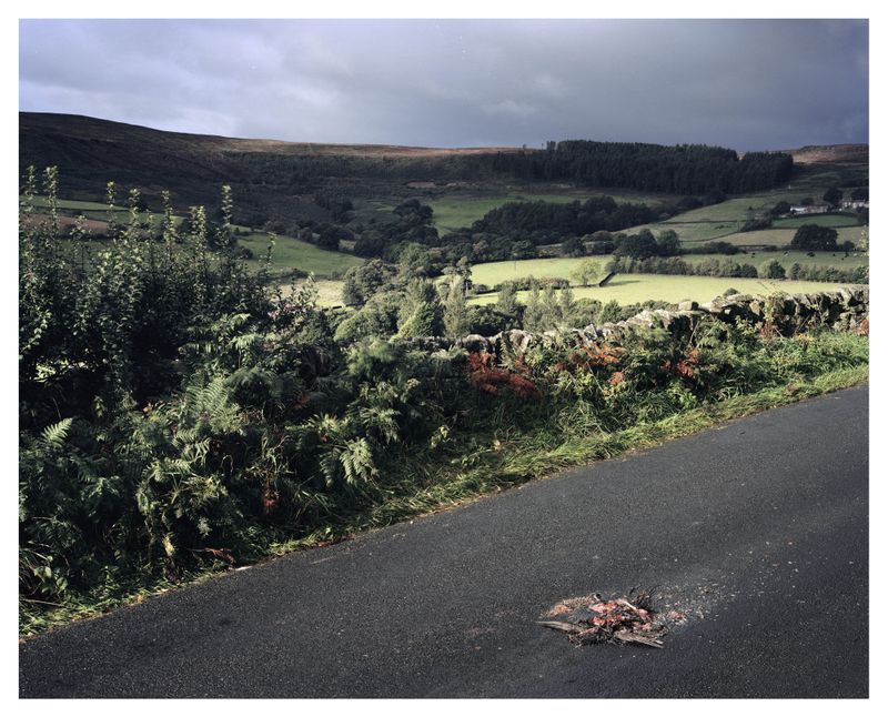 © Roei Greenberg - Spectre of innocent Death