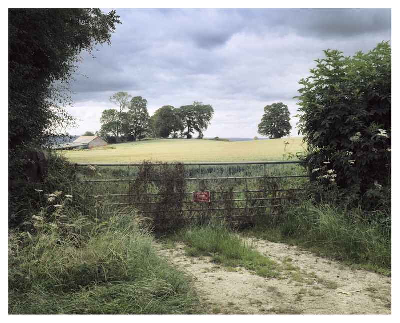 © Roei Greenberg - English Experience (Outsider)