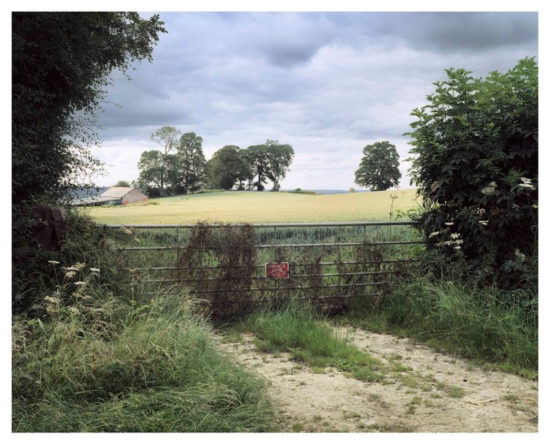 © Roei Greenberg - English Experience (Outsider)