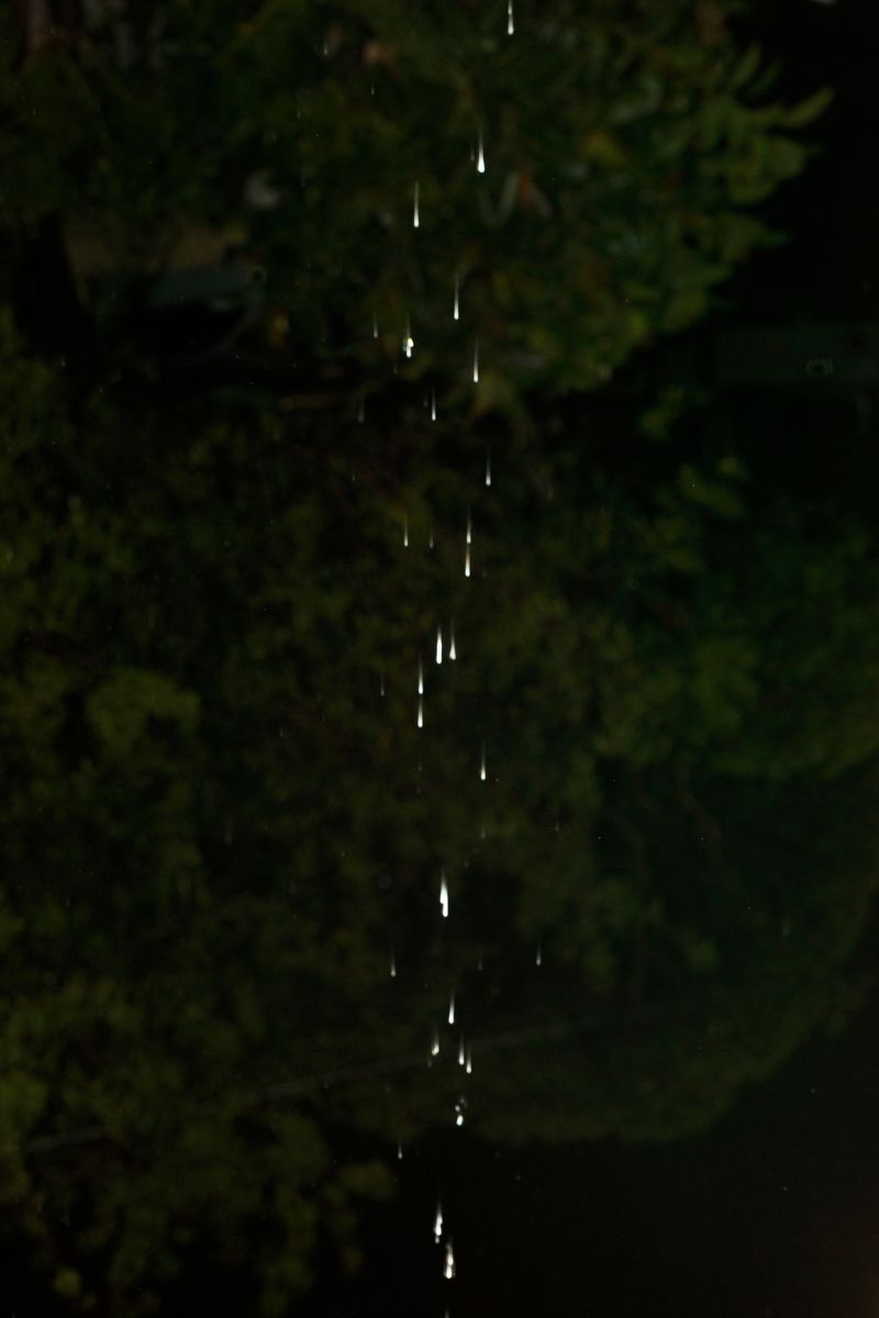 © Sarah Walker - Image from the Second Sight photography project