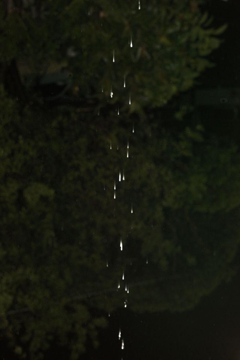 © Sarah Walker - Image from the Second Sight photography project