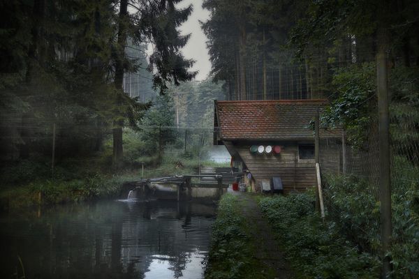 © Jörg Marx - In the dark places #02