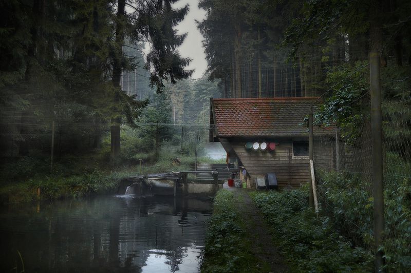 © Jörg Marx - In the dark places #02