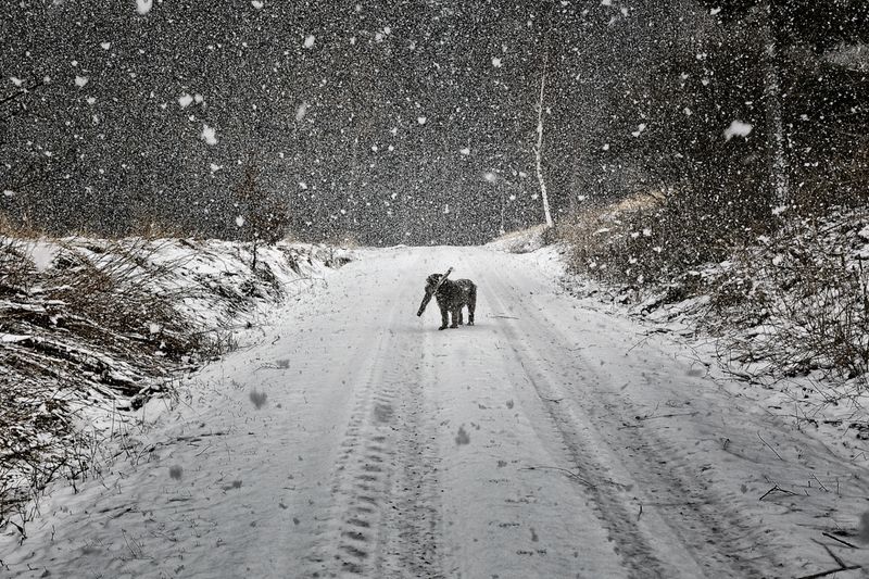 © Jörg Marx - In the dark places #09