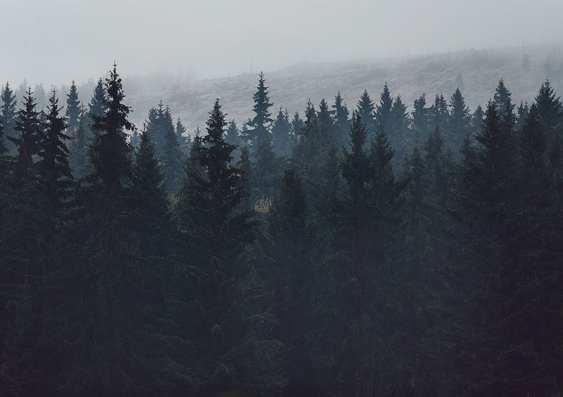 © Jörg Marx - In the dark places #19