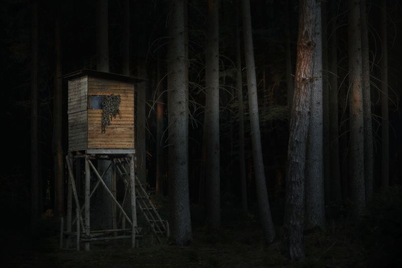 © Jörg Marx - In the dark places #07