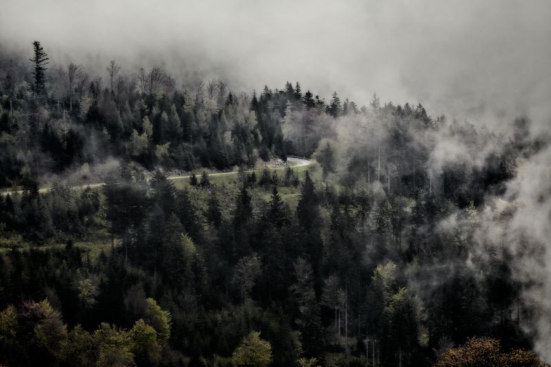 © Jörg Marx - In the dark places #08