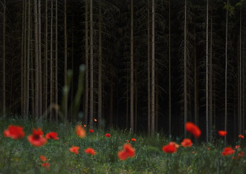 © Jörg Marx - In the dark places #13