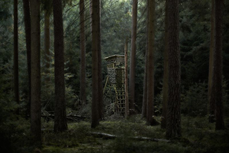 © Jörg Marx - In the dark places #25