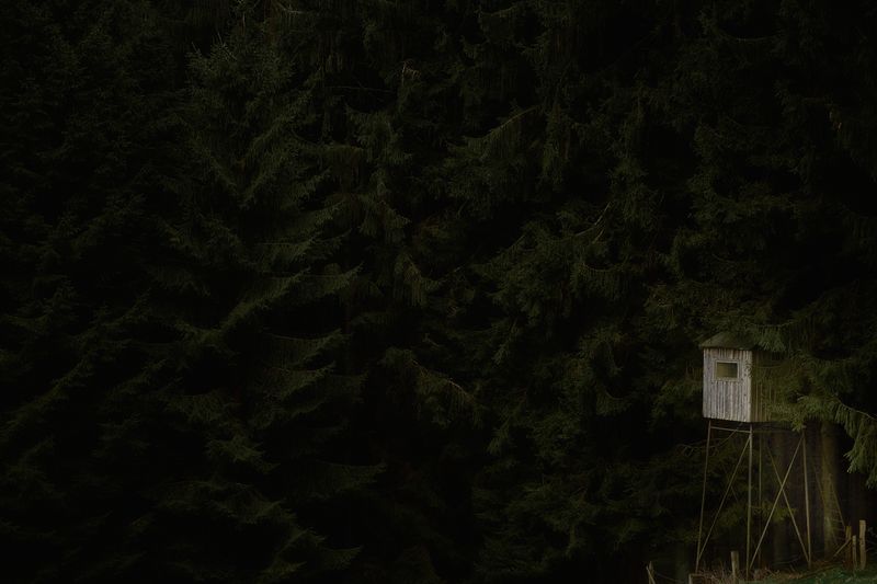 © Jörg Marx - In the dark places #15