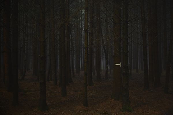 © Jörg Marx - In the dark places #03