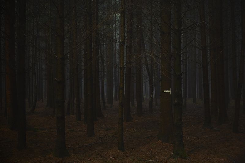 © Jörg Marx - In the dark places #03