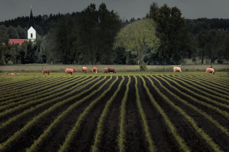 © Jörg Marx - In the dark places #14