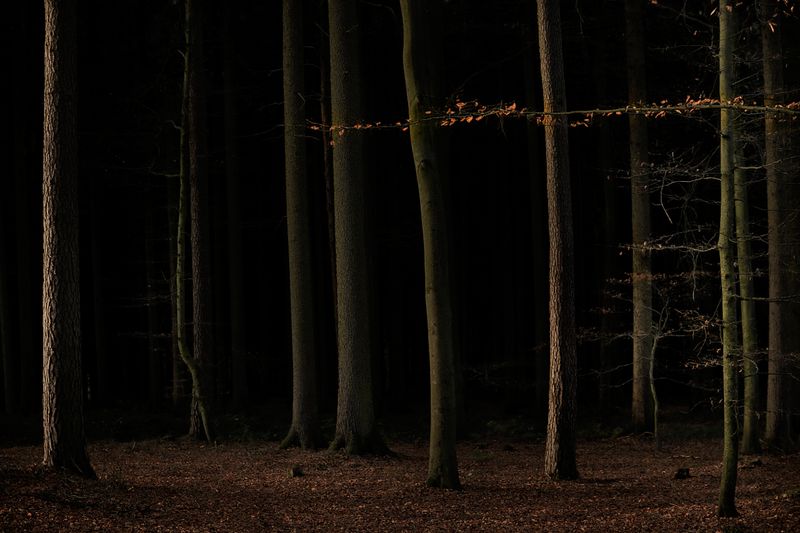 © Jörg Marx - In the dark places #29