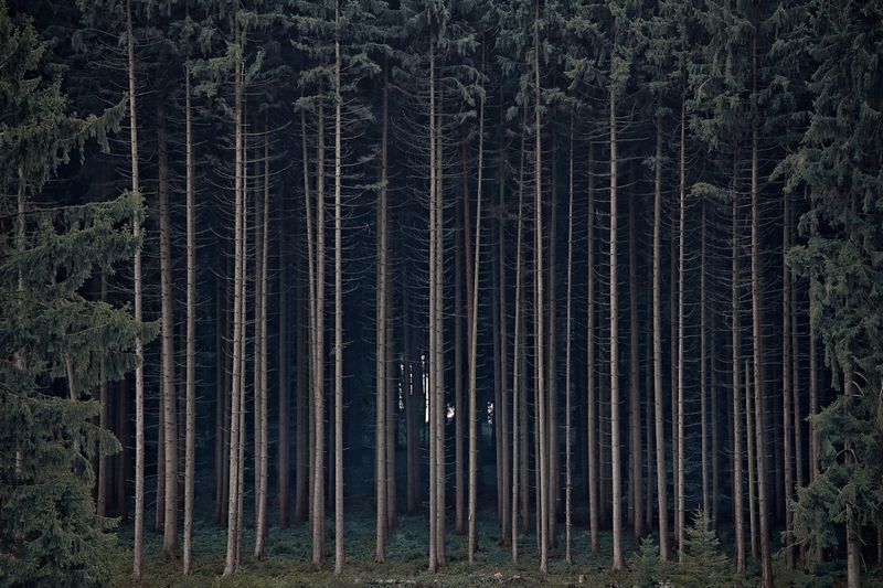 © Jörg Marx - In the dark places #26