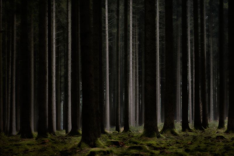 © Jörg Marx - In the dark places #10