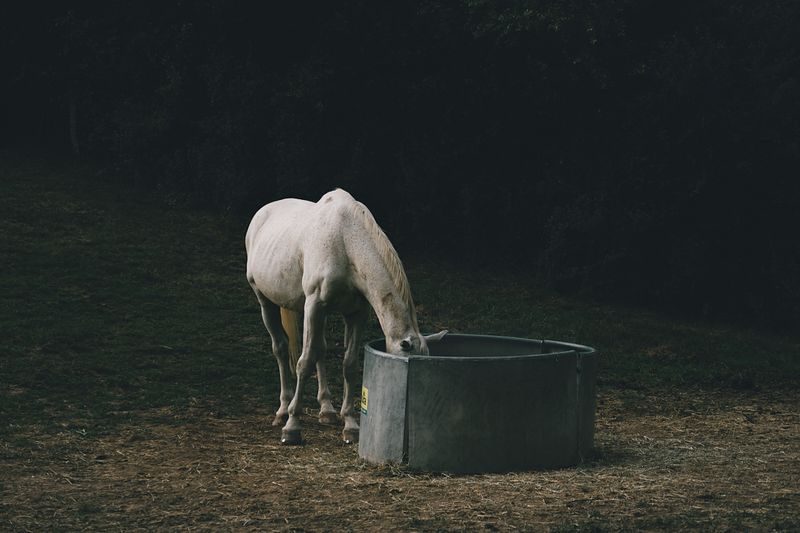 © Jörg Marx - In the dark places #28