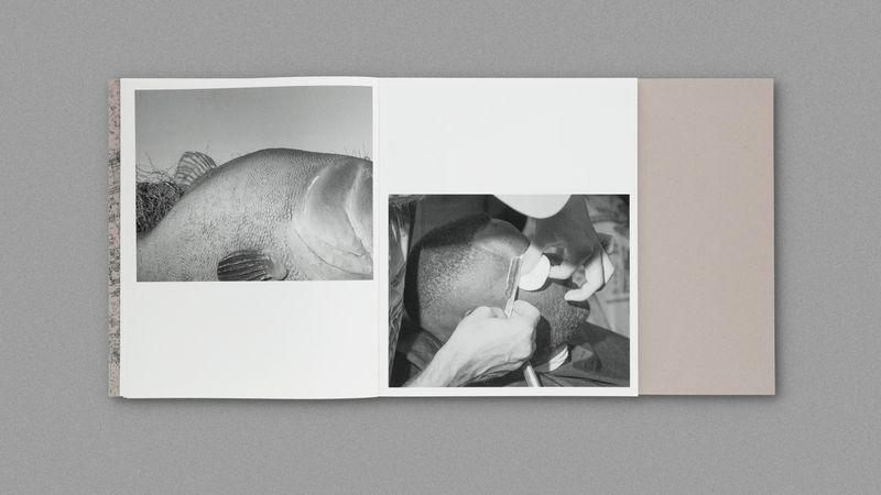 Image from a project on PhMuseum