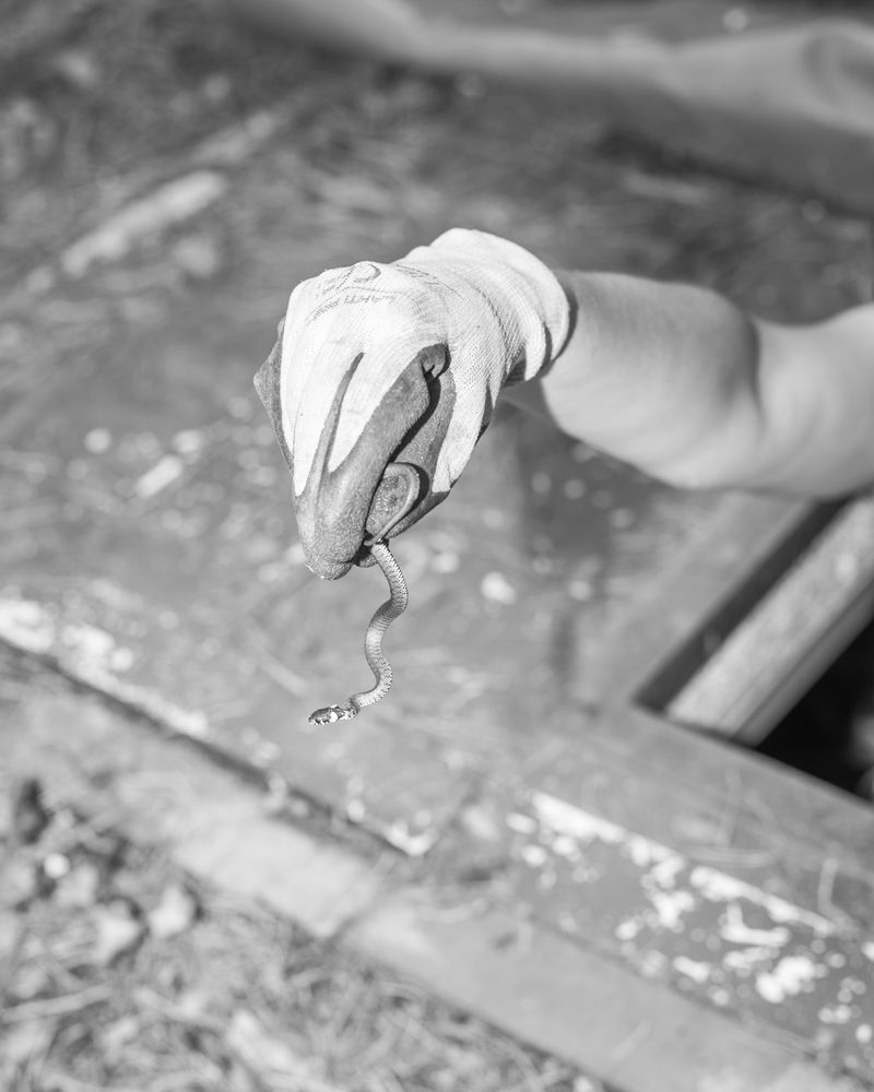 Image from a project on PhMuseum