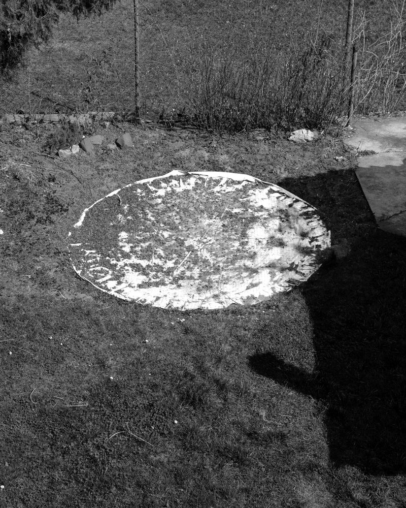 © Domonkos Varga - Sun