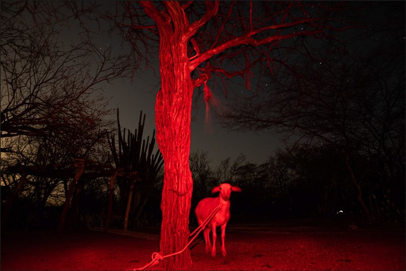 © Fernanda Pineda - Image from the Yoluja photography project