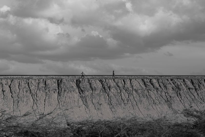 © Fernanda Pineda - Animals and children frequent the train tracks. Two nephews of Alfredo Pushaina died run over by the train