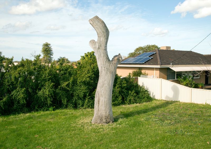 © Jacob Wallwork - Image from the Strange Daze photography project