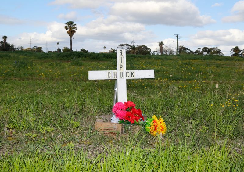 © Jacob Wallwork - Image from the Strange Daze photography project