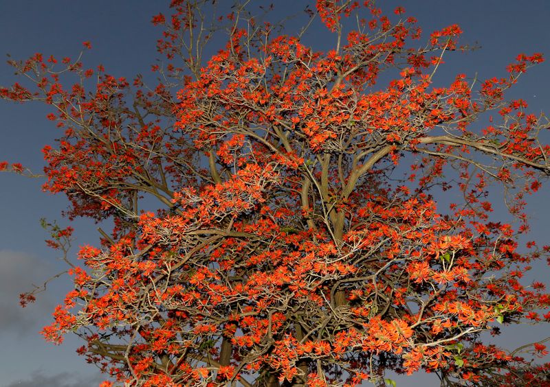 © Jacob Wallwork - Image from the Strange Daze photography project