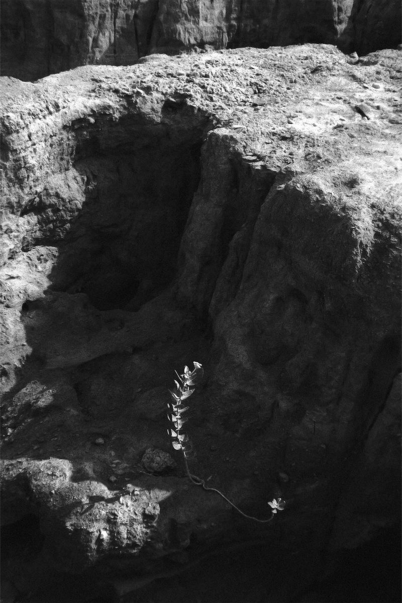 © Maazin Kamal - Image from the Ranjish photography project