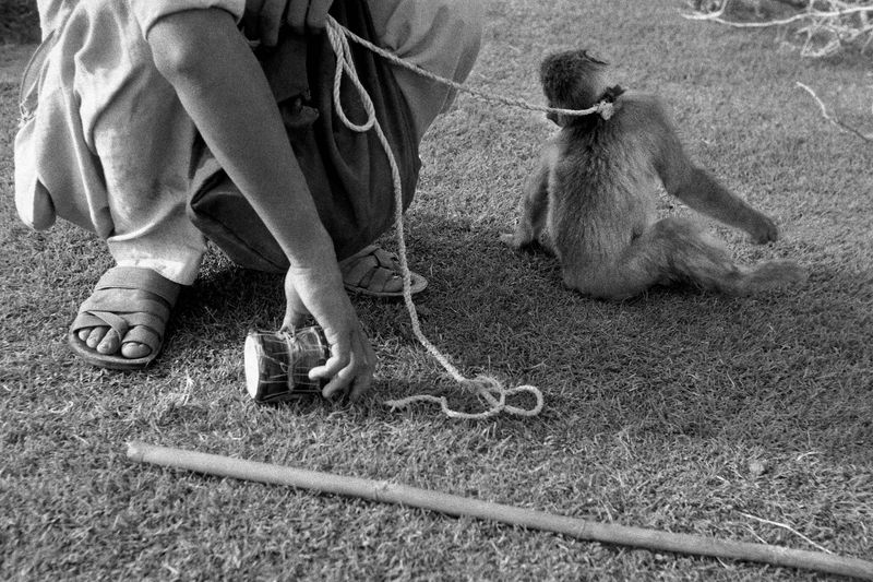 © Maazin Kamal - Image from the Ranjish photography project