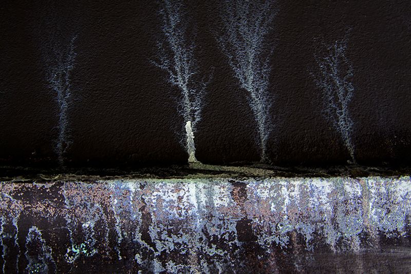 © Susan Evans Grove - Abandon Land