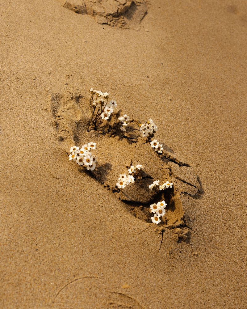 © Alvin Ng - Image from the Book of Days photography project